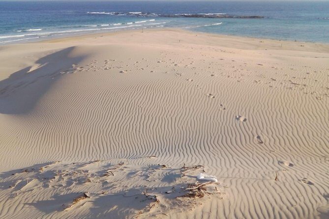 Guided Marine Walk: - Sardinia Bay (Marine Protected Area) - 2 hours - Who Will Love This Experience?