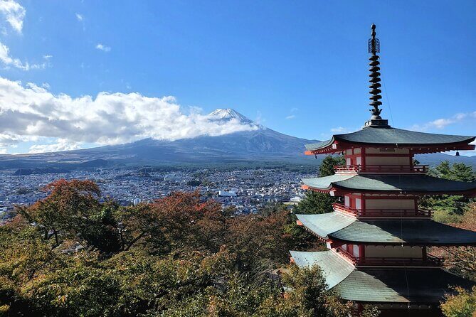Guided Mount Fuji Private Tour GREEN NUMBER PLATES - A Detailed Look at the Tour Experience