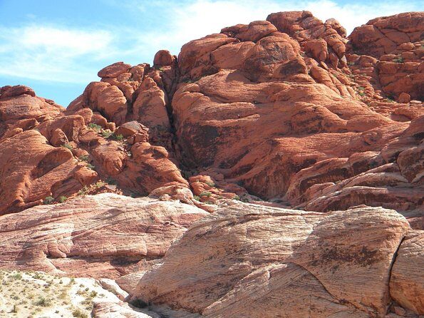 Guided Mountain Bike Tour of Mustang Trail in Red Rock Canyon - Who Would Enjoy This Tour?