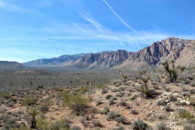Guided Mountain Bike Tour of Mustang Trail in Red Rock Canyon - The Sum Up