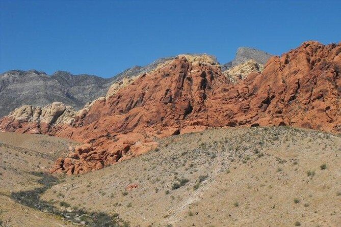 Guided Mountain Bike Tour of Mustang Trail in Red Rock Canyon - FAQ
