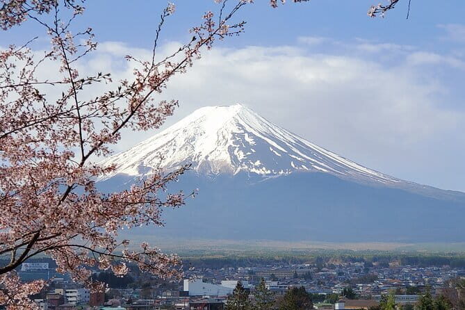 Guided Mt. Fuji & Hakone Tour Bullet Train Return GREEN NUMBER - Why This Tour Offers Good Value