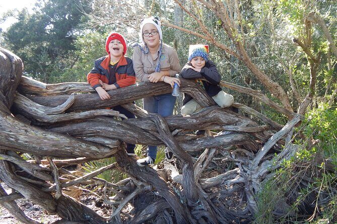 Guided Nature Hikes in NE Florida & SE Georgia - Introduction to the Experience