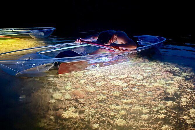 Guided Night Kayak Adventure Tour in Luminous Lagoon - Introduction