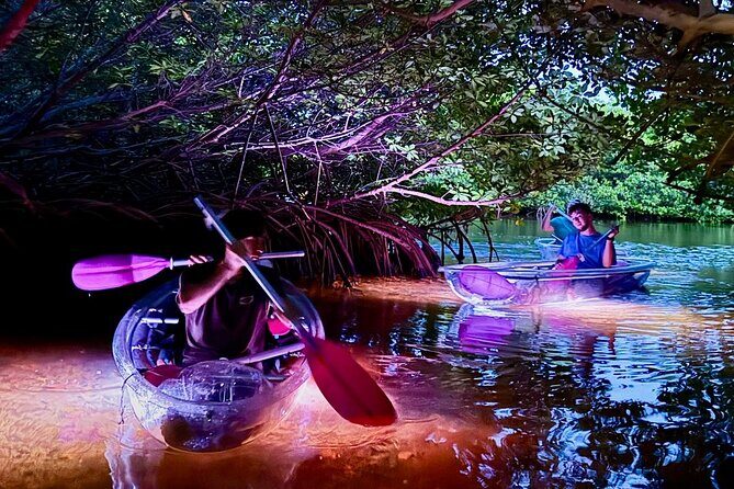 Guided Night Kayak Adventure Tour in Luminous Lagoon - Key Points