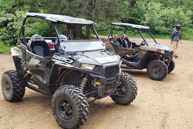 Guided Off-Road Vehicle Tours in North Idaho Forests - The Experience: What to Expect