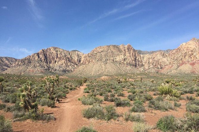 Guided or Self-Guided Road Bike Tour of Red Rock Canyon - The Sum Up