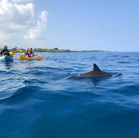 Guided Outrigger Canoe Tour in Kealakekua Bay - FAQ
