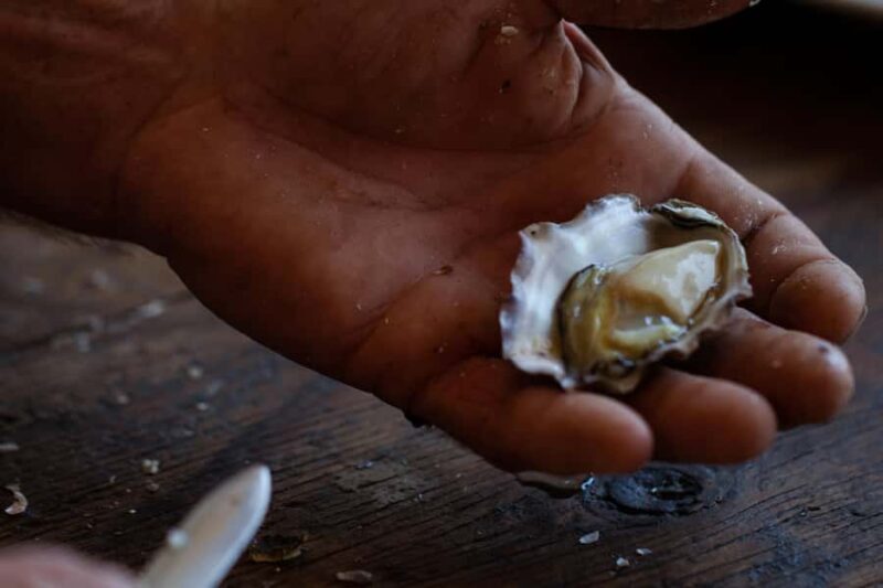 Guided Oyster Tasting - What You Can Expect in Practice