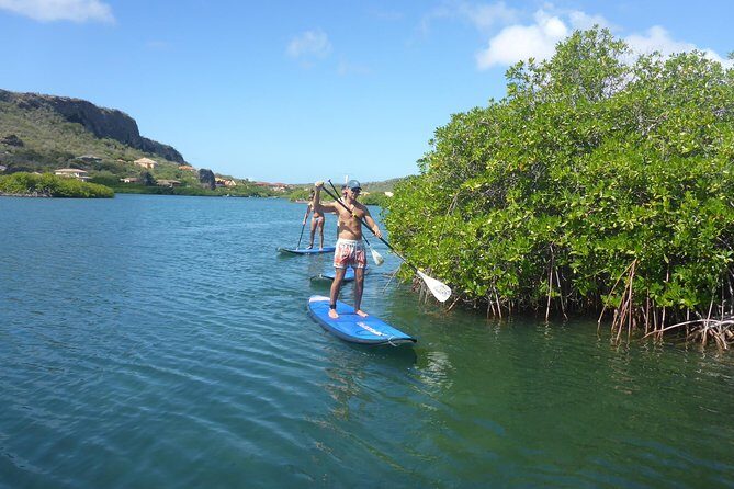 Guided paddleboarding (SUP) mangrove ECO tour for beginners - Key Points
