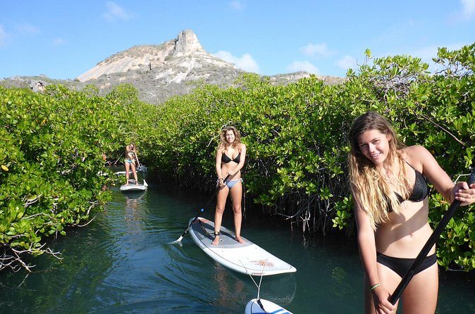 Guided paddleboarding (SUP) mangrove ECO tour for beginners - Why This Tour Offers Great Value