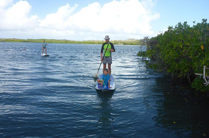 Guided paddleboarding (SUP) mangrove ECO tour for beginners - Who Should Book This Tour?