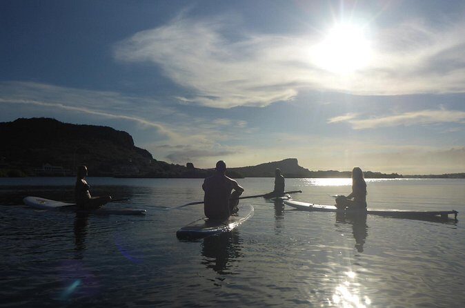 Guided paddleboarding (SUP) mangrove ECO tour for beginners - Final Thoughts: Is It Worth It?