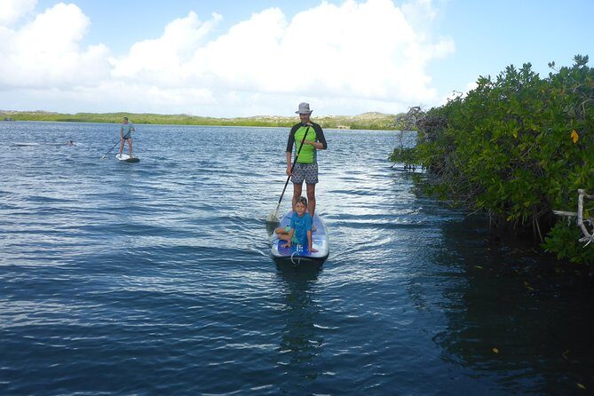 Guided paddleboarding (SUP) mangrove ECO tour for beginners - FAQs