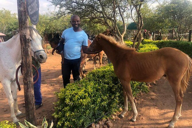 Guided Pony Riding in the Tranquil Surroundings of the Notwane Dam - The Sum Up