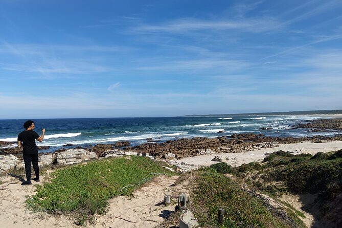 Guided Port Elizabeth Coastal Tour - An In-Depth Look at the Tour Itinerary