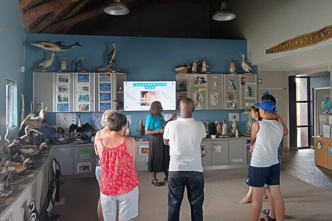 Guided Port Elizabeth Coastal Tour - Practical Details and Considerations