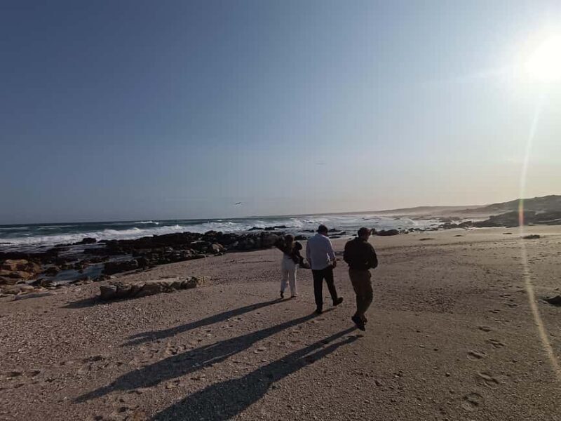 Guided Port Elizabeth Coastal Tour - Key Points