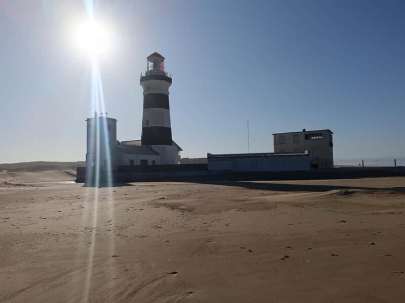 Guided Port Elizabeth Coastal Tour - Sardinia Bay Beach: The Golden Sand Dunes