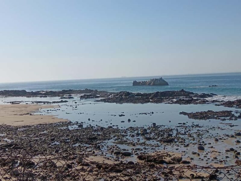 Guided Port Elizabeth Coastal Tour - Who is This Tour Best For?
