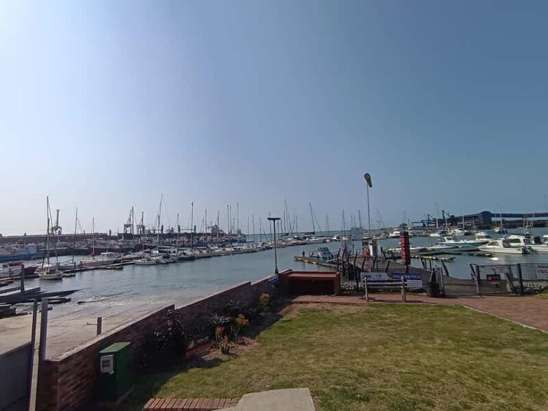 Guided Port Elizabeth Coastal Tour - The Sum Up