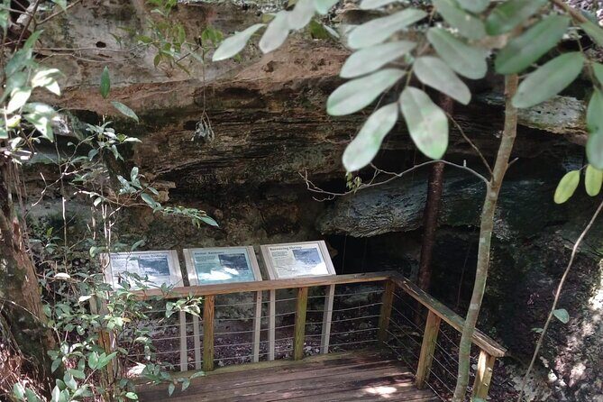 Guided Primeval Nature Walk Tour in Primeval Forest National Park - Is this tour right for you?