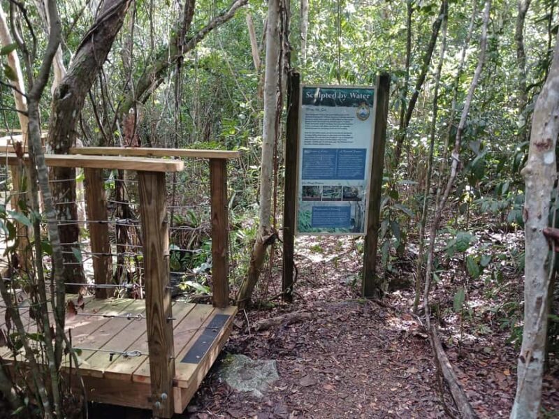 Guided Primeval Nature Walk Tour - Relaxing at Jaws Beach