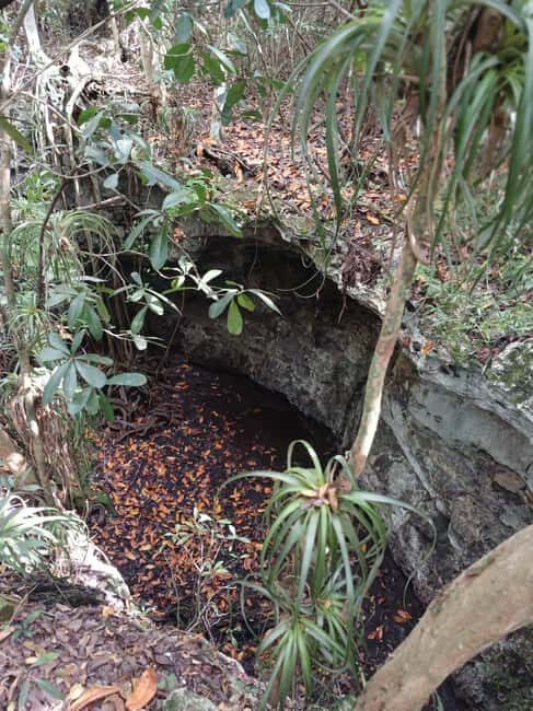 Guided Primeval Nature Walk Tour - The Sum Up