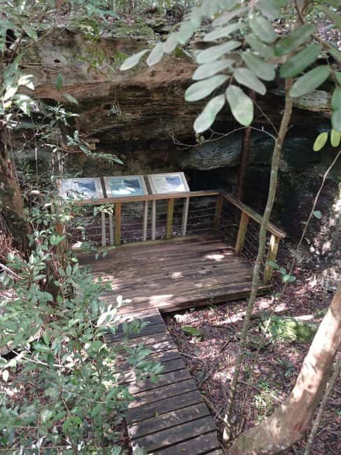 Guided Primeval Nature Walk Tour - FAQ