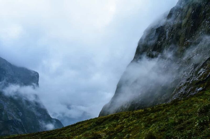 Guided Private Milford Sound Day Tour from Te Anau(Cruise In - Key Points