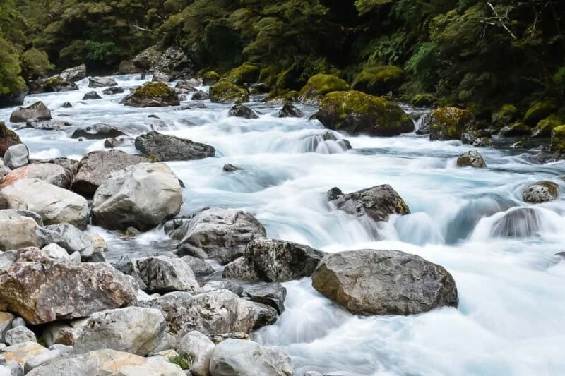 Guided Private Milford Sound Day Tour from Te Anau(Cruise In - The Experience: What to Expect on the Milford Sound Private Tour