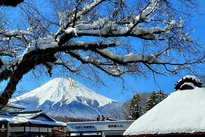 Guided Private Mt. Fuji and Hakone Tour GREEN NUMBER PLATES - Exploring the Private Mt. Fuji and Hakone Tour: An In-Depth Review