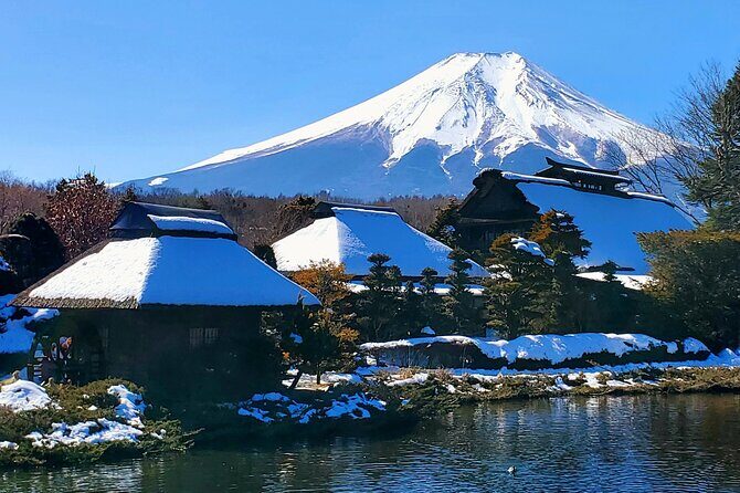 Guided Private Mt. Fuji and Hakone Tour GREEN NUMBER PLATES - Key Points
