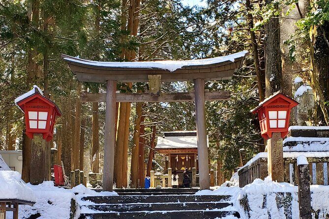 Guided Private Mt. Fuji and Hakone Tour GREEN NUMBER PLATES - Final Thoughts