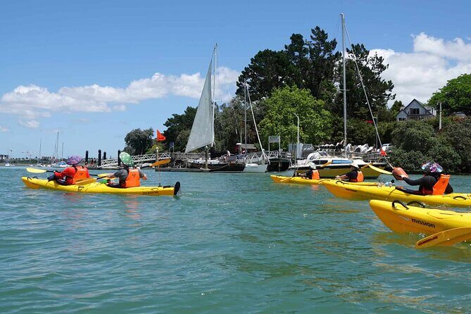 Guided Riverhead Tavern Kayak Tour in Auckland - Who Will Love This Tour?