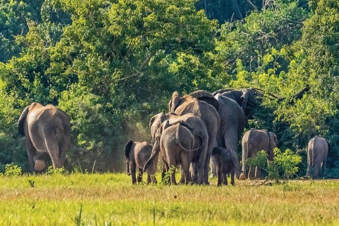 Guided Safari to Murchison Falls from Masindi - The Itinerary Breakdown