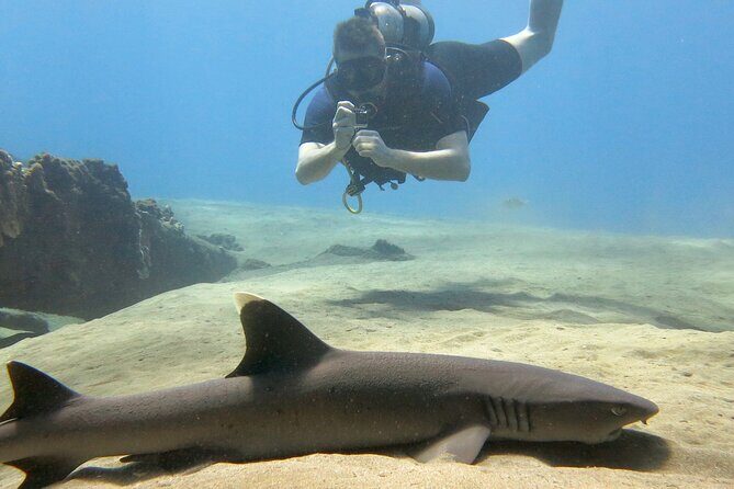 Guided Scuba Dive in Lahaina: Certified - Practical Considerations