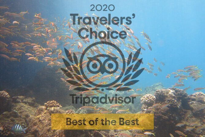 Guided Scuba Dive in Lahaina: Certified - FAQ