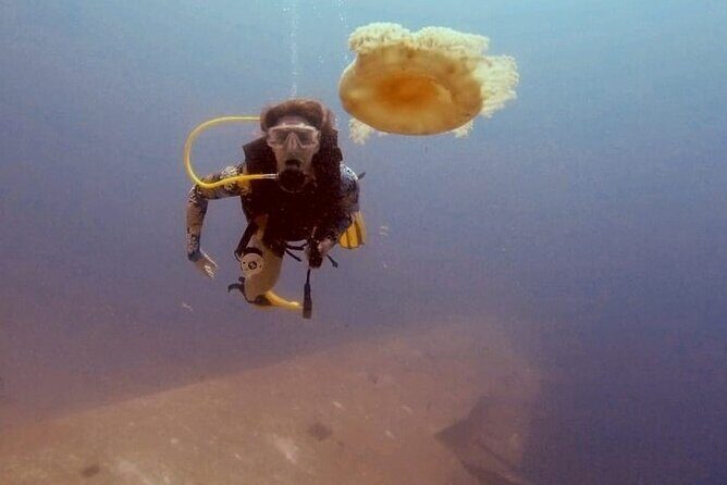 Guided Scuba Diving Adventure in Aqaba - Introduction: What’s This Experience All About?