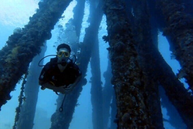 Guided Scuba Diving Adventure in Aqaba - Group Size and Atmosphere