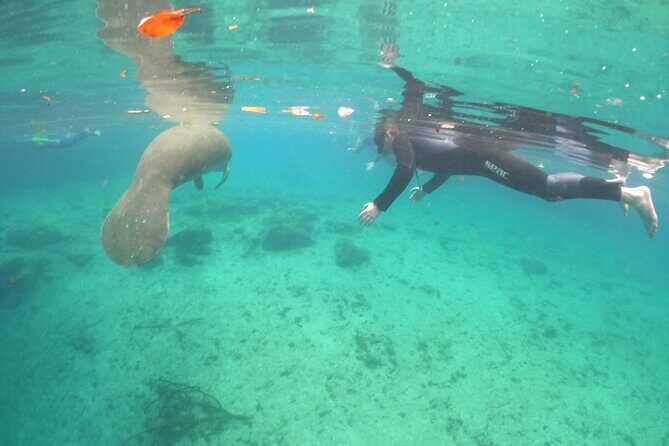 Guided Semi-Private Snorkel Tour (w/ FREE Photos!) - Why Choose This Tour? A Closer Look