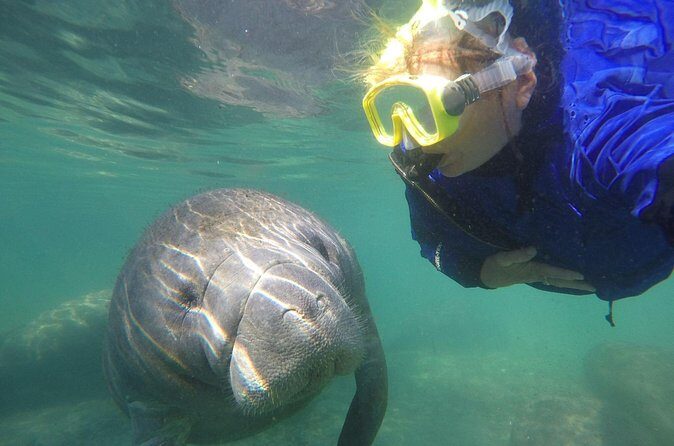Guided Semi-Private Snorkel Tour (w/ FREE Photos!) - Final Thoughts