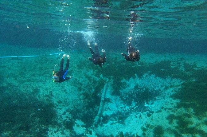 Guided Semi-Private Snorkel Tour (w/ FREE Photos!) - FAQ