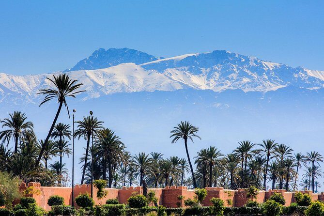 Guided Shared Day Trip Agadir to Marrakech medina & souks - Medina of Marrakech: The Labyrinth of Souks