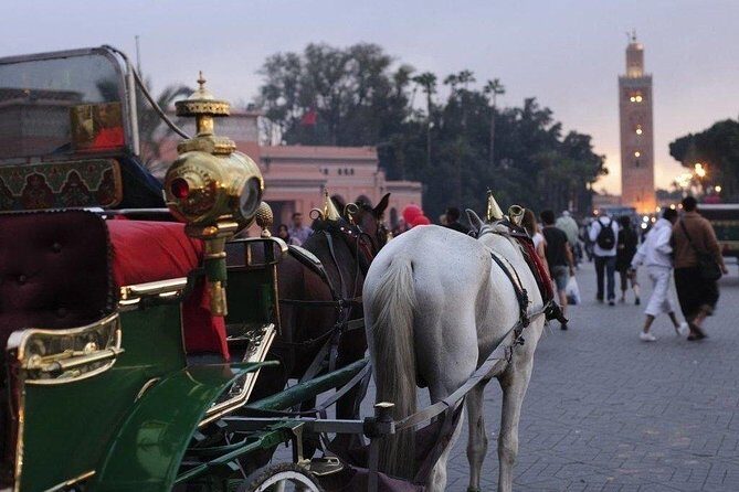 Guided Shared Day Trip Agadir to Marrakech medina & souks - What’s Included and What’s Not