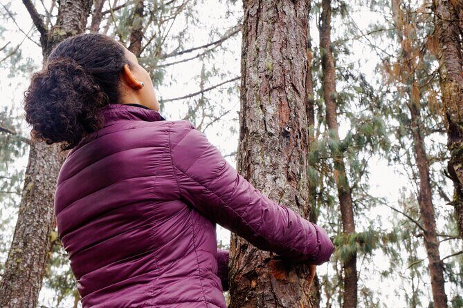 Guided Shared Group Forest Bathing Session in Serene Woodland Park - FAQ