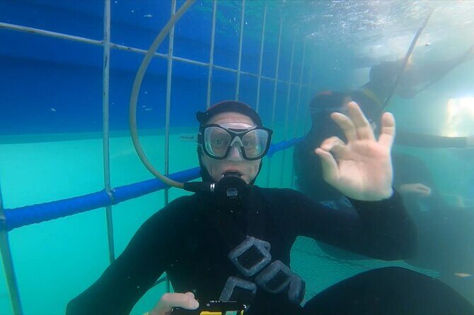 Guided Shark Cage Diving with Hookah Air Supply in Gansbaai - A detailed look at the shark cage diving experience