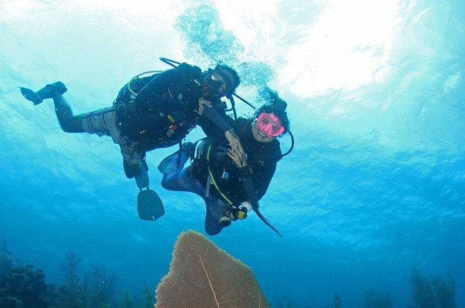 Guided Shore Dive for Certified Divers with Scubaçao (1 tank) - Who Will Love This Tour?