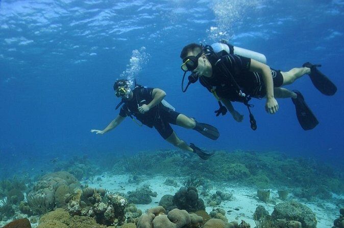 Guided Shore Dive for Certified Divers with Scubaçao (1 tank) - FAQ