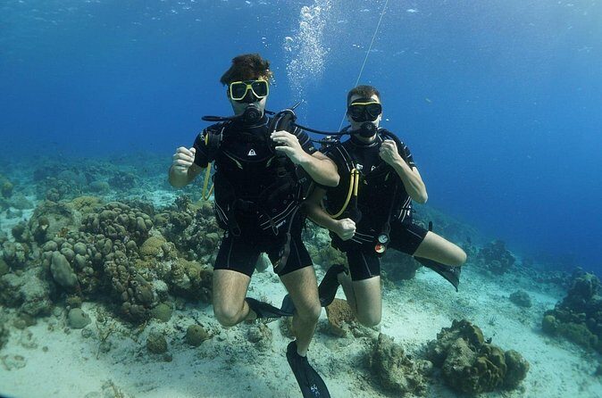 Guided Shore Dive for Certified Divers with Scubaçao (2 tank) - The Sum Up